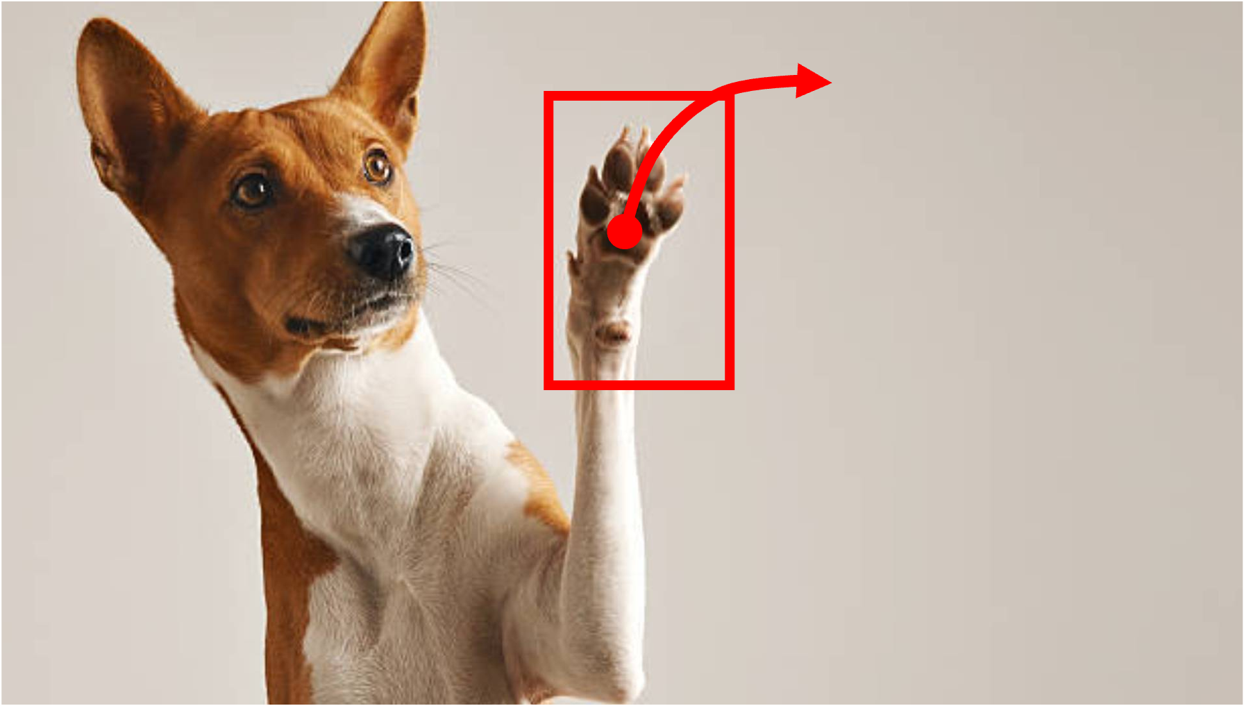 Reference frame for partial control