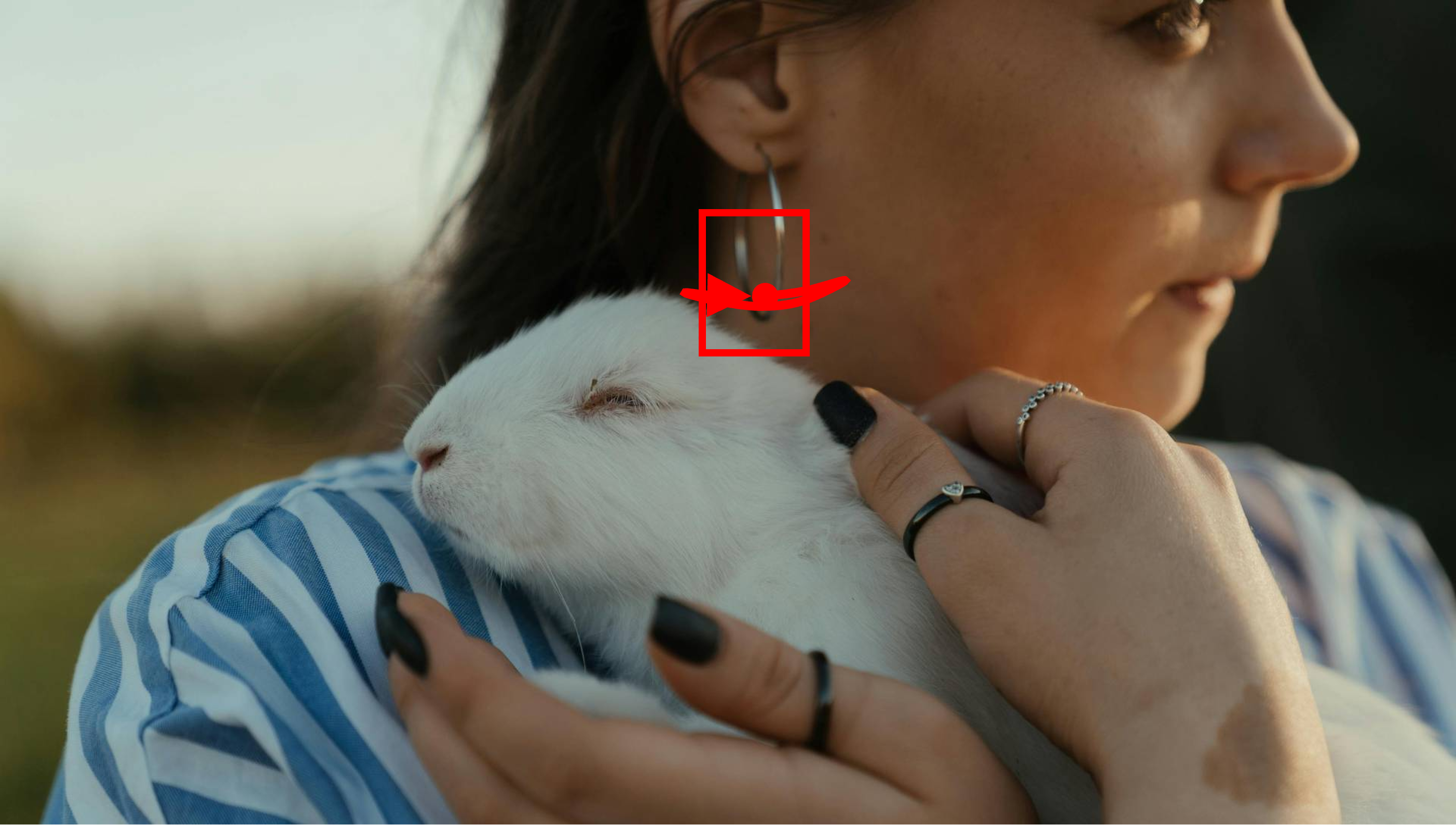 A girl holding a rabbit in her lap. Both are rabbit and the girl are completely stationary. Only the earrnig of the girl is oscillating very slowly. The shot is taken with a static camera. Camera remains stationary. Static Camera. Camera locked down at the same place. The video loops back to the beginning of the video after it reaches the end.