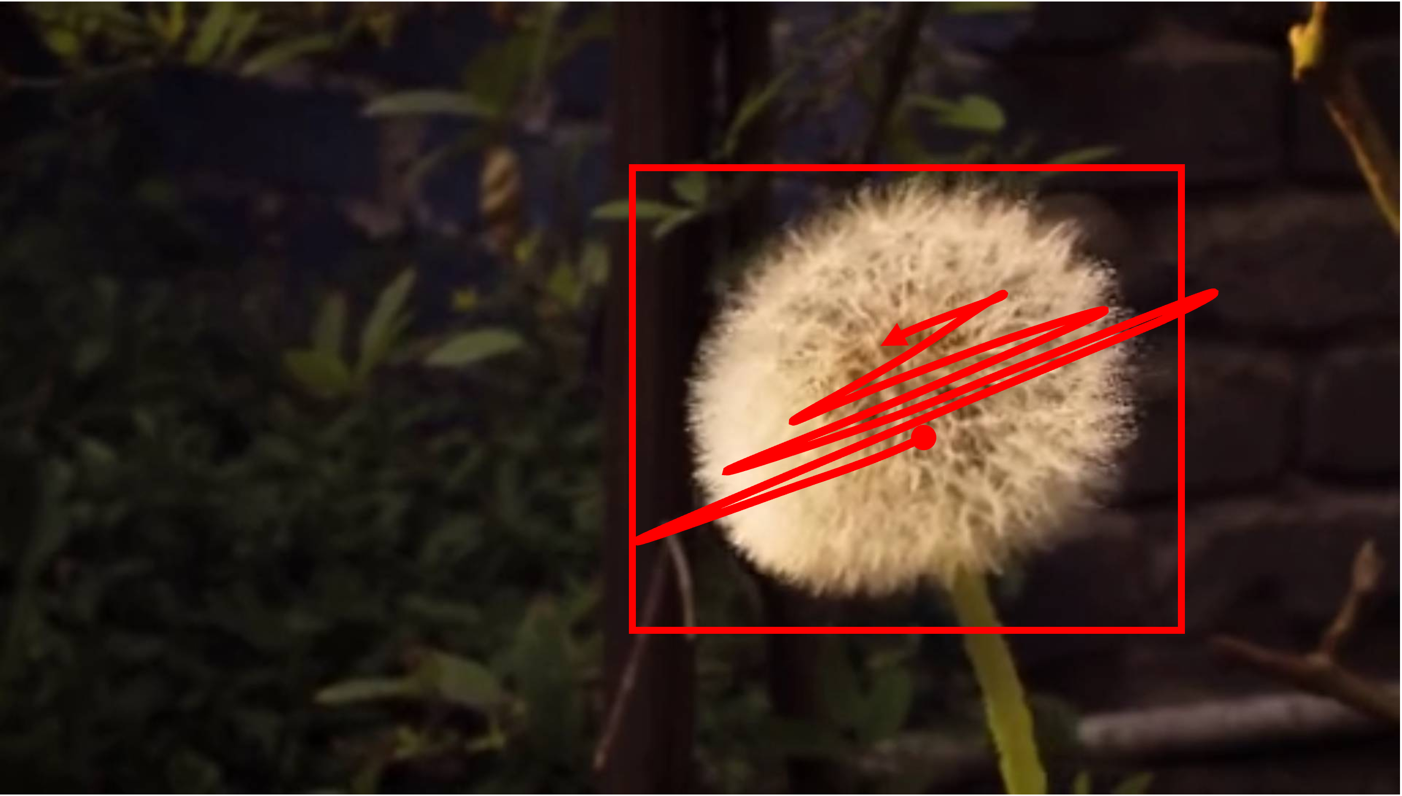 A wide, static shot captures a single, delicate dandelion seed head. The white sphere of pappus is perfectly round and fragile. The dandelion stands on a thin green stem, which remains completely still. The background is a soft, blurry mix of green foliage and what appears to be a weathered brick surface, all of which is unmoving.\r\n\r\nThe only element with any movement is the dandelion seed head itself. It sways gently and continuously, as if caught in an almost imperceptible breeze. The delicate white filaments of the pappus oscillate back and forth in a smooth, subtle, and mesmerizing loop, creating a peaceful contrast between the static world and this single, moving point of light. Camera remains stationary. Static Camera. Camera locked down at the same place. The video loops back to the beginning of the video after it reaches the end.