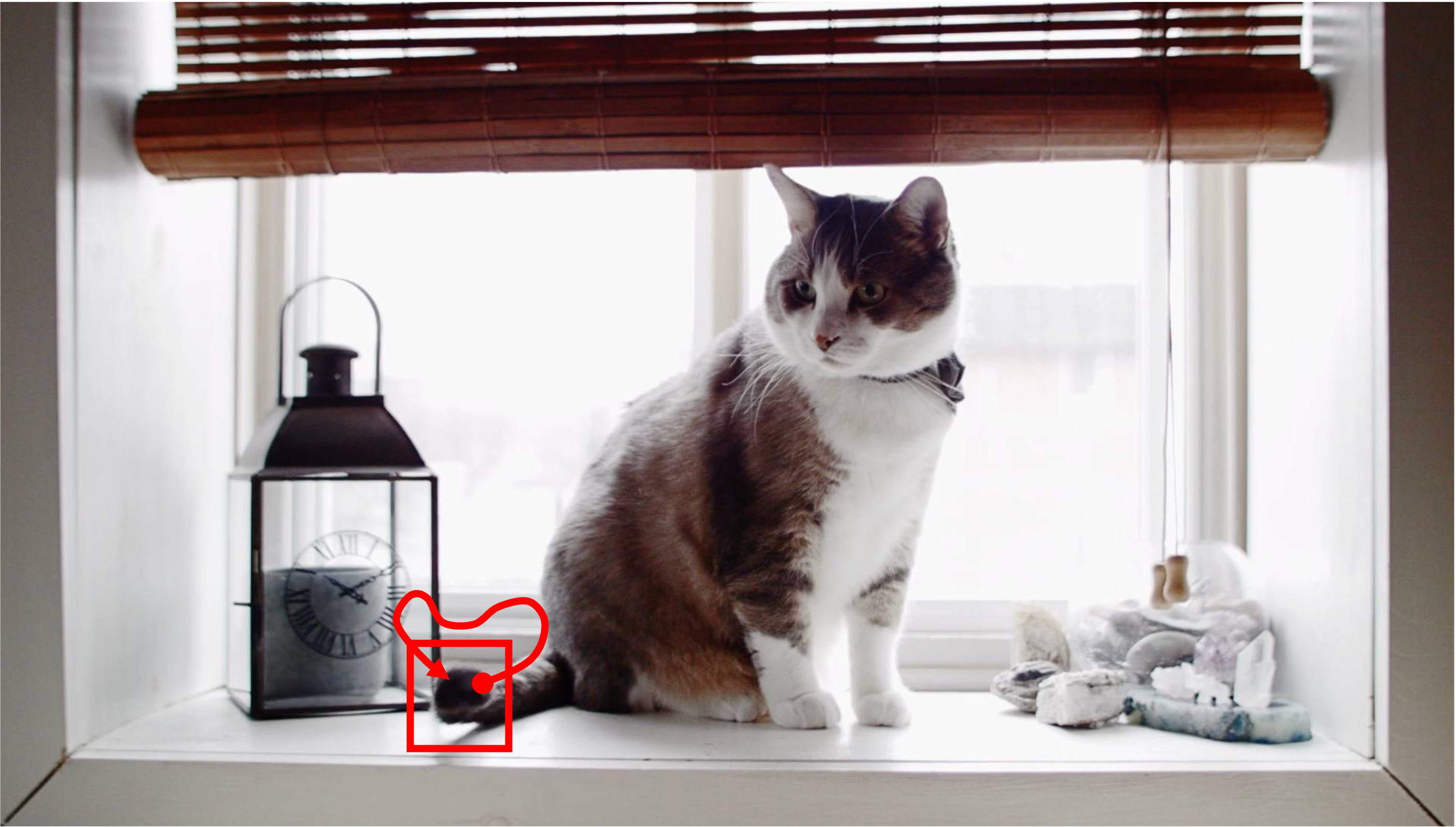 Fountain before motion