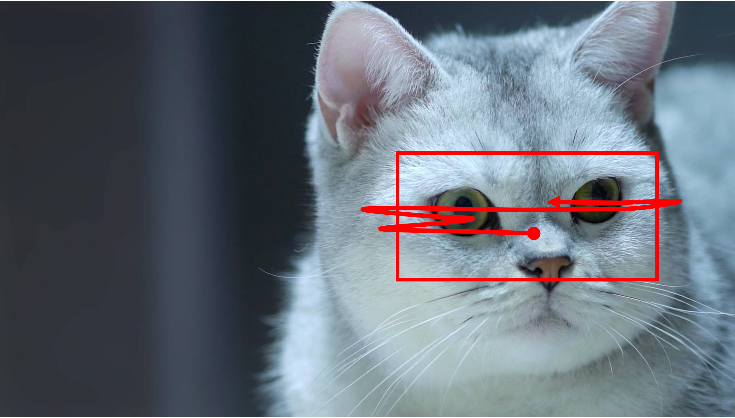 A close-up of an adorable white cat. The cat is looking from left to right while sitting at the same place. Camera remains stationary. Static Camera. Camera locked down at the same place. The video loops back to the beginning of the video after it reaches the end.