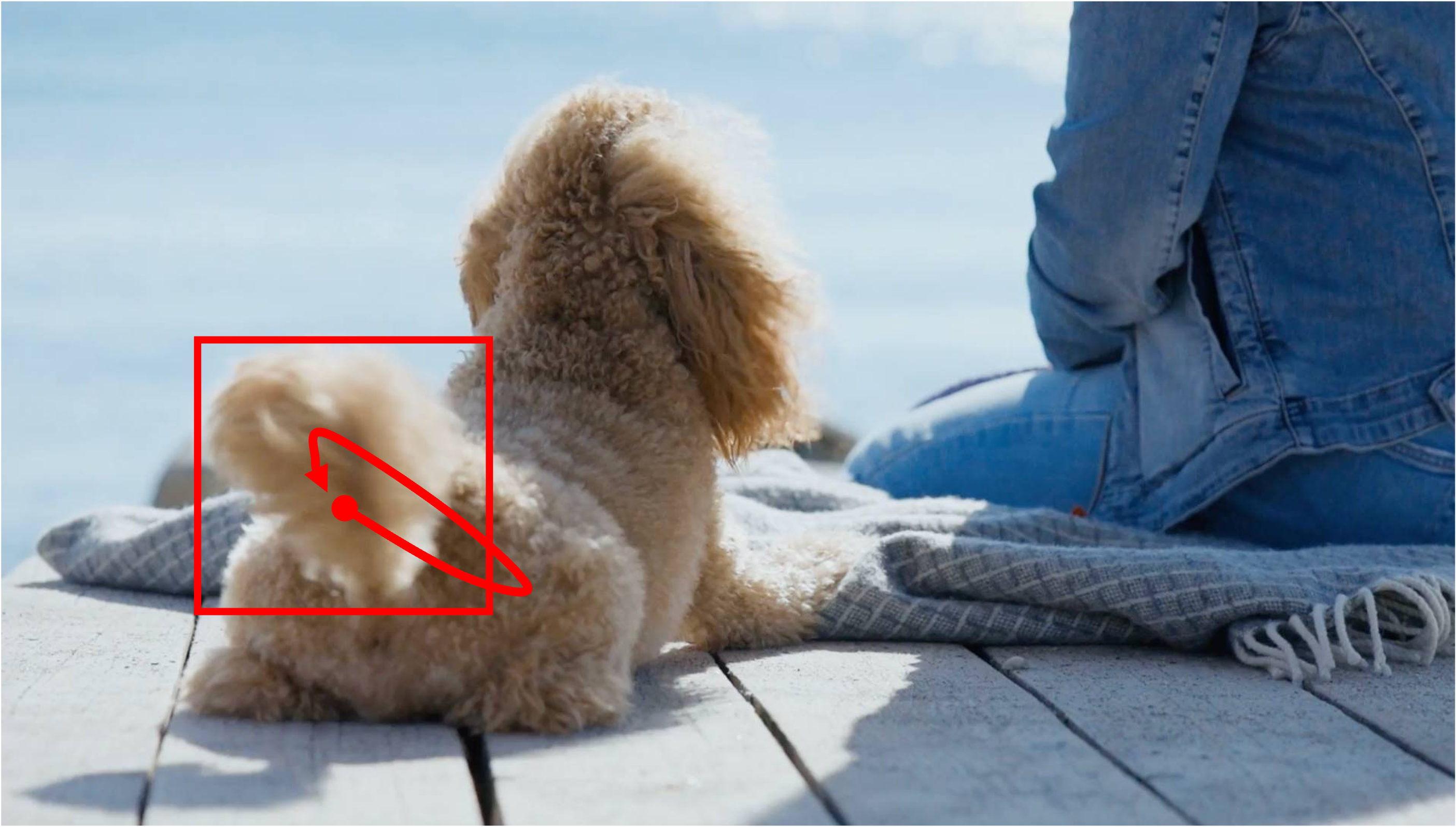 A dog is sitting on a deck and waving its tail. The dog and the person remain stationary in place. Wind is blowing in the background. Camera remains stationary. Static Camera. Camera locked down at the same place. The video loops back to the beginning of the video after it reaches the end.