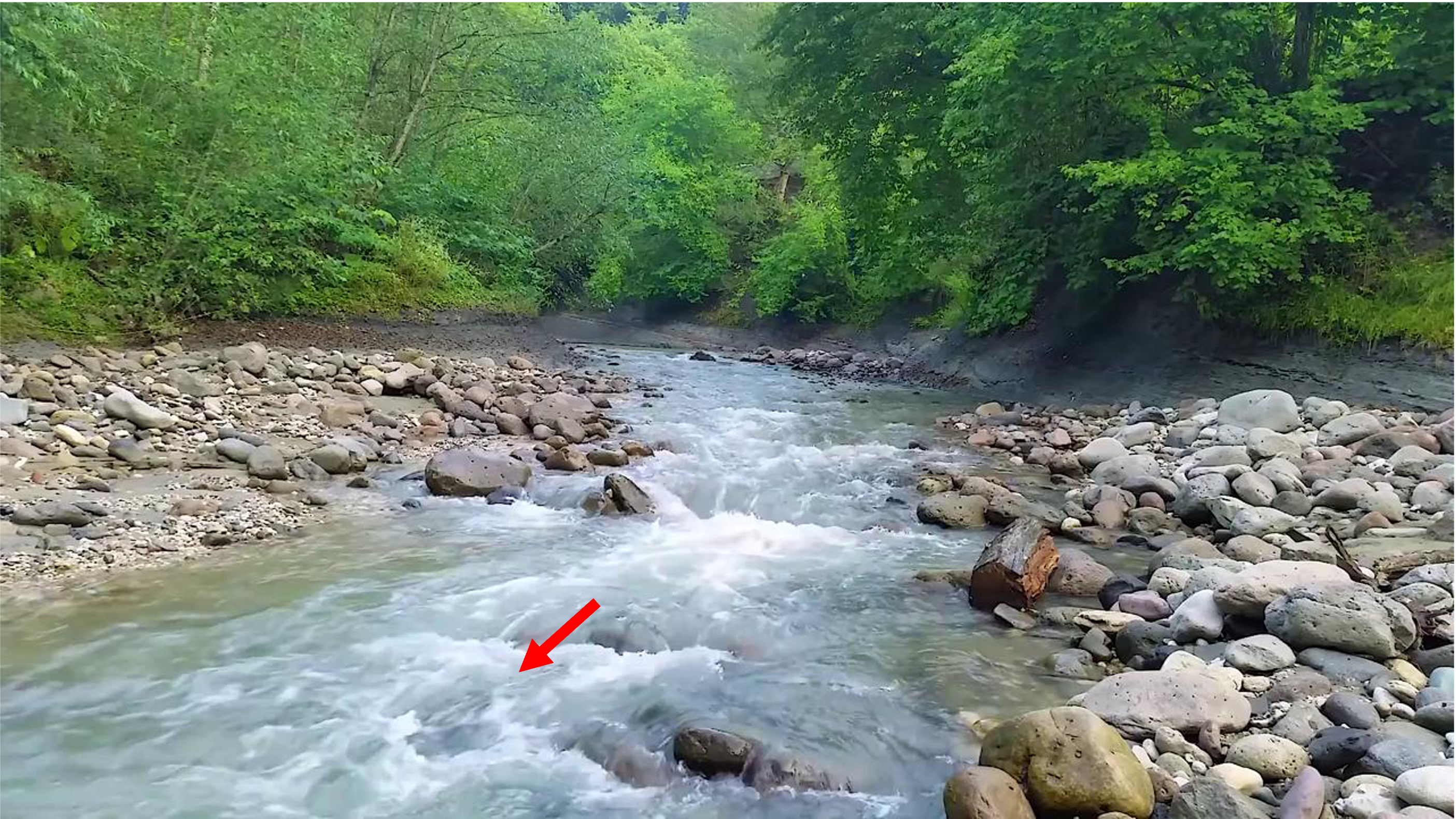 Input reference frame