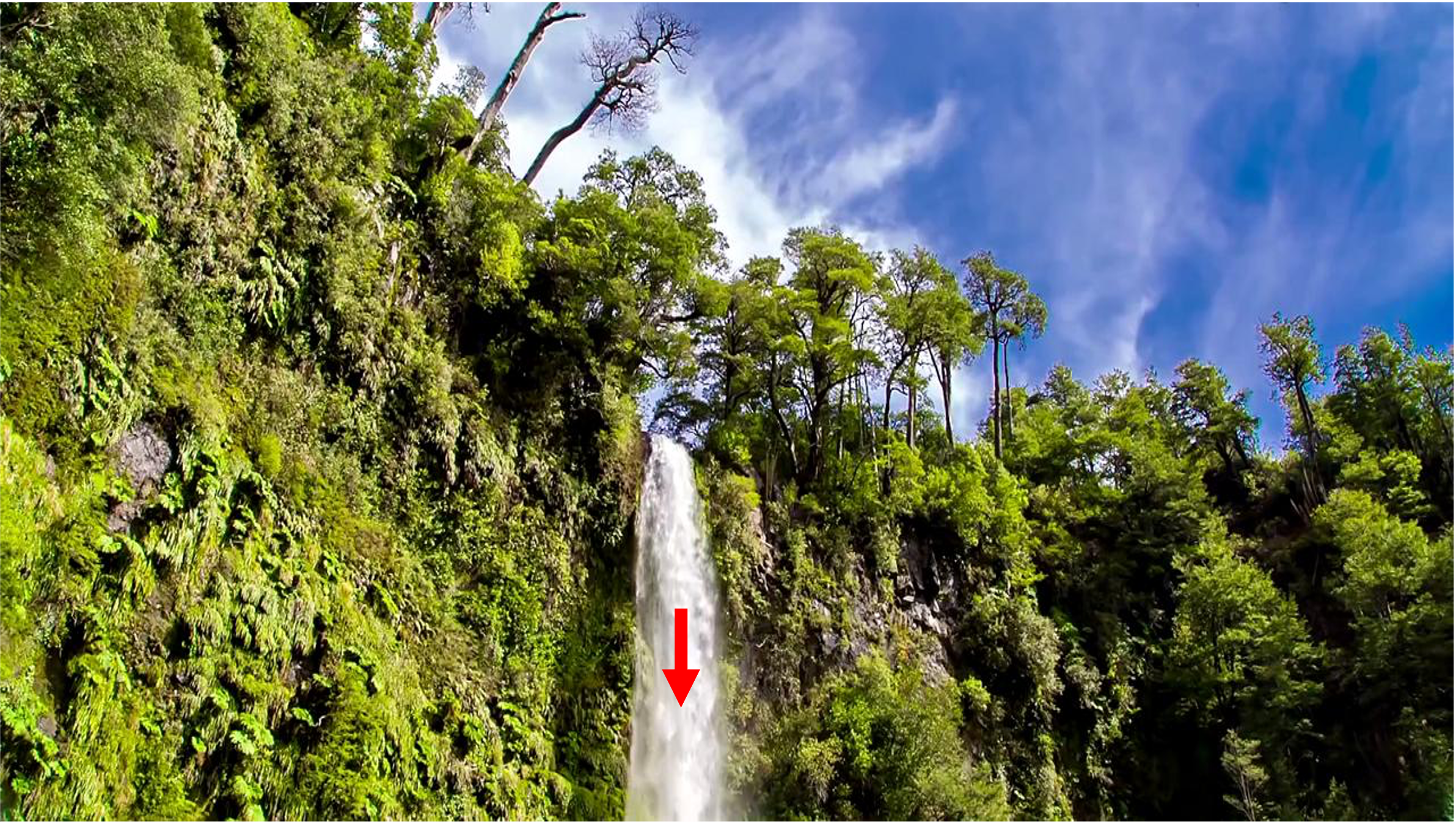 Input reference frame