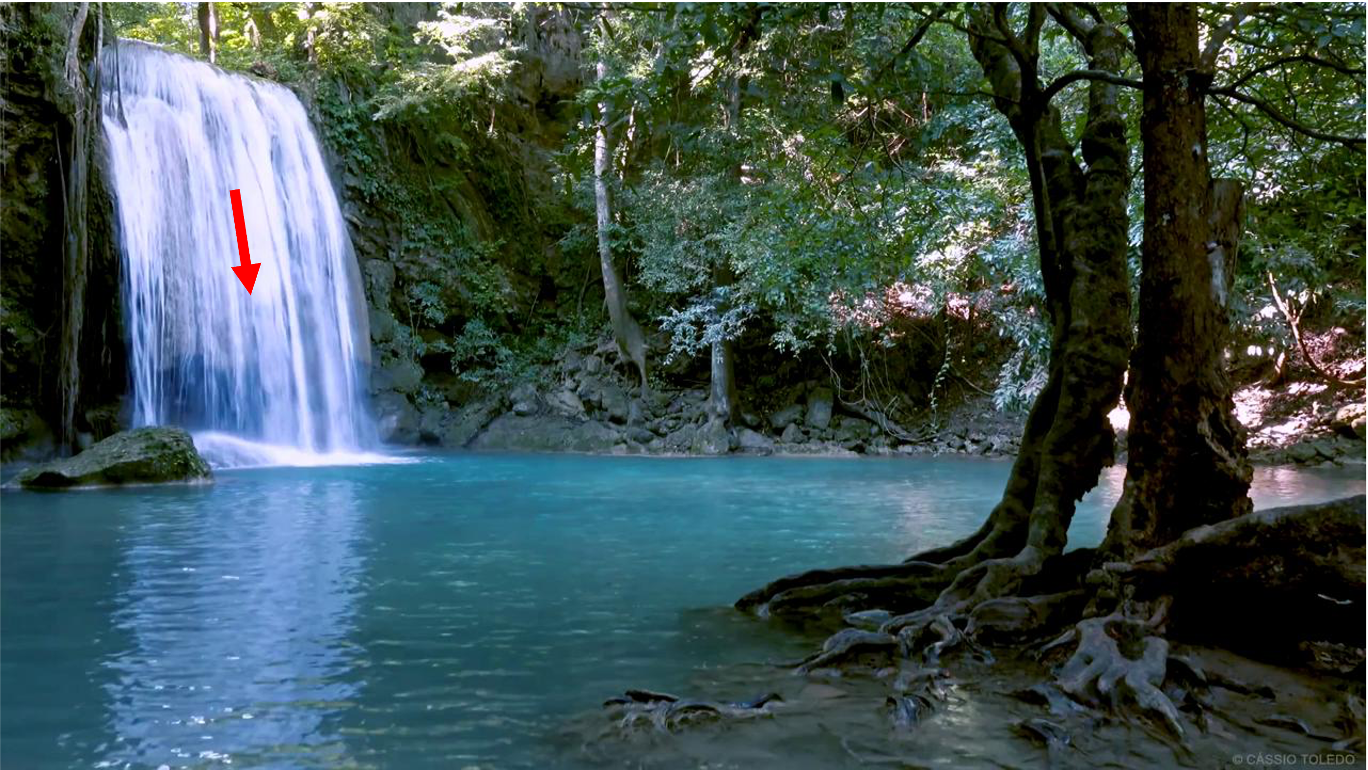 Input reference frame