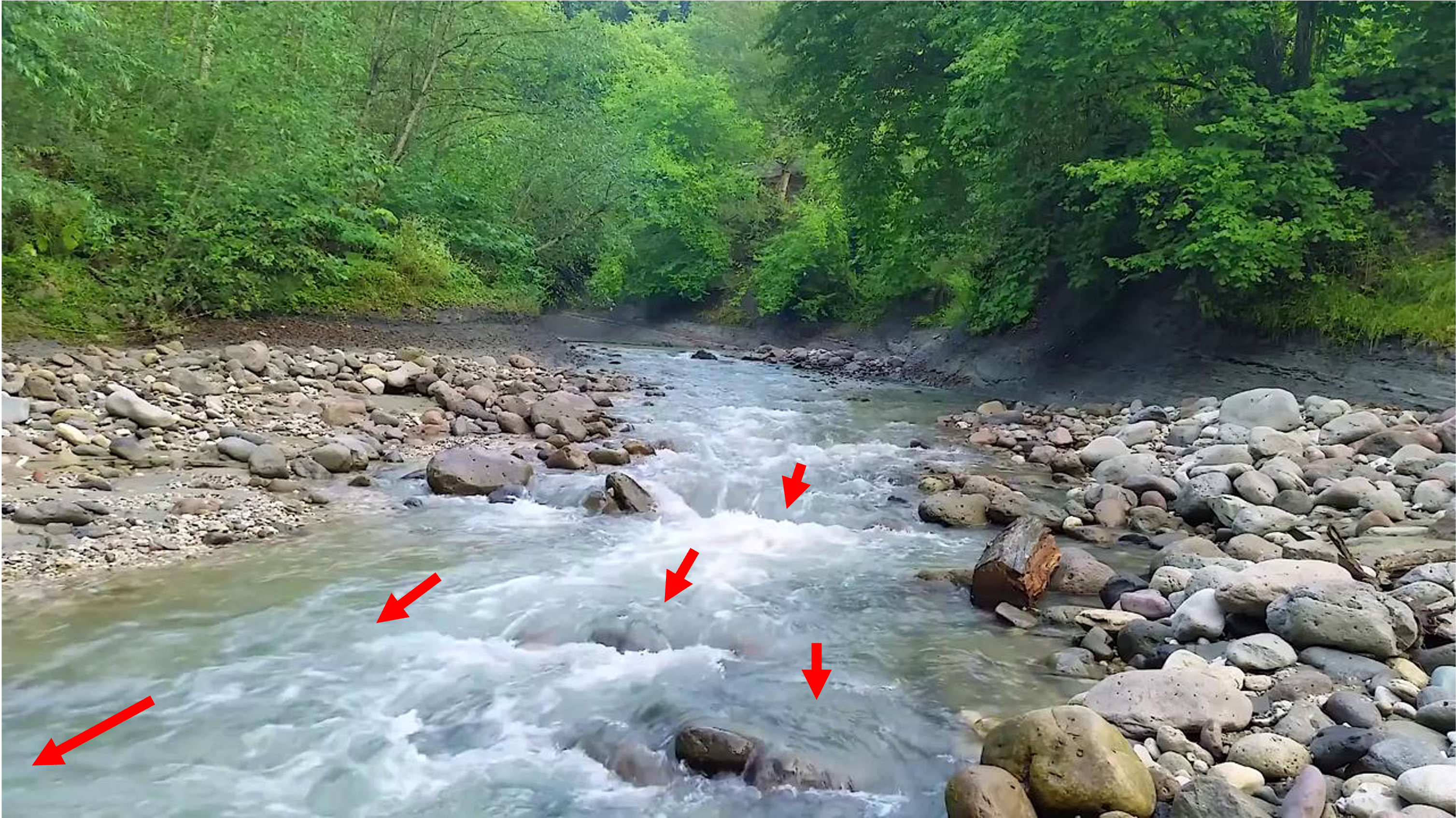 Input reference frame