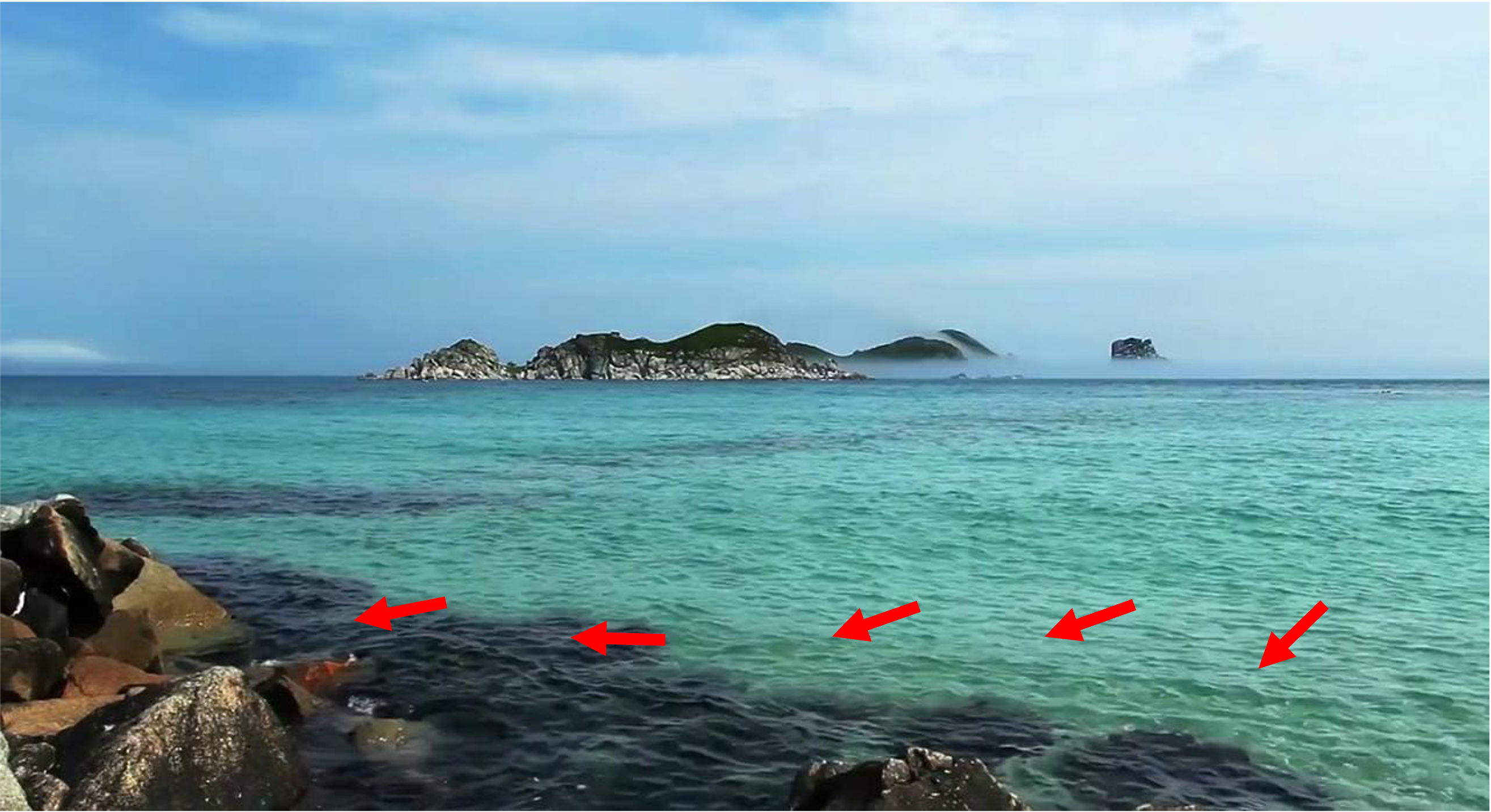 Input reference frame