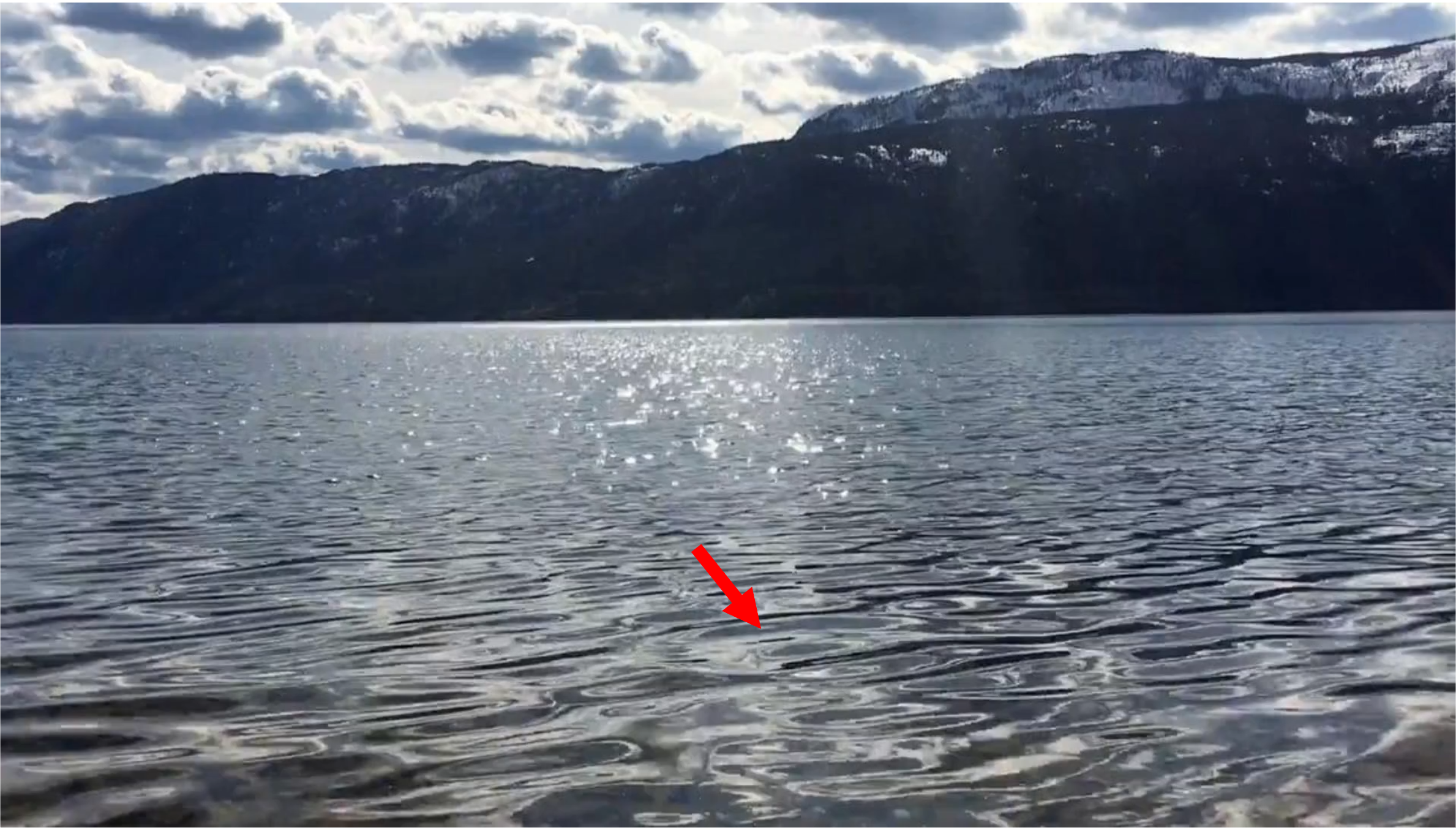 Reference frame for partial control