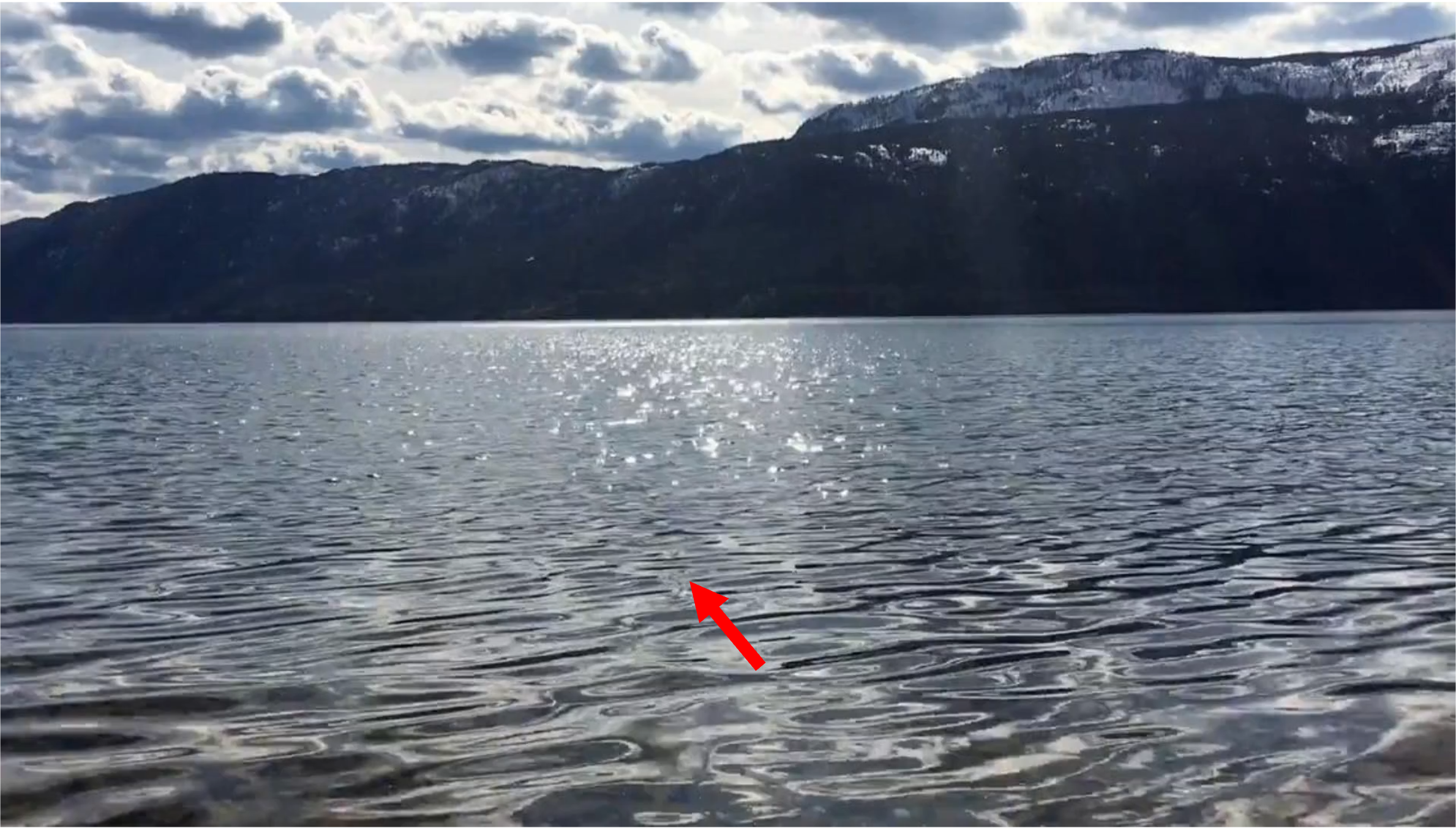 Reference frame for partial control